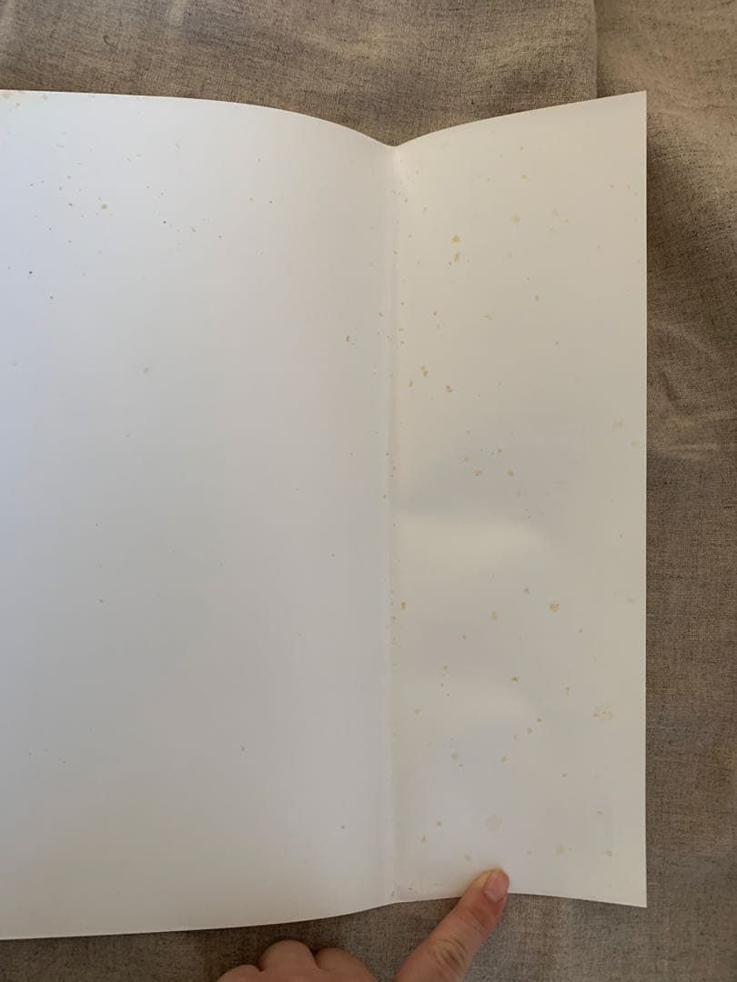 アントニオ・ロペス・ガルシア　画集