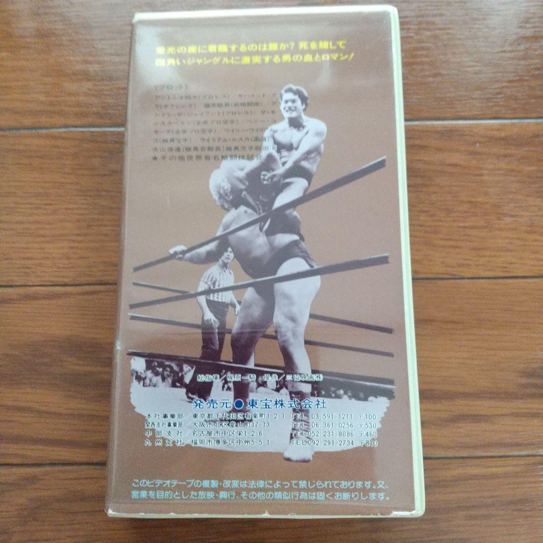 四角いジャングル格闘技世界一