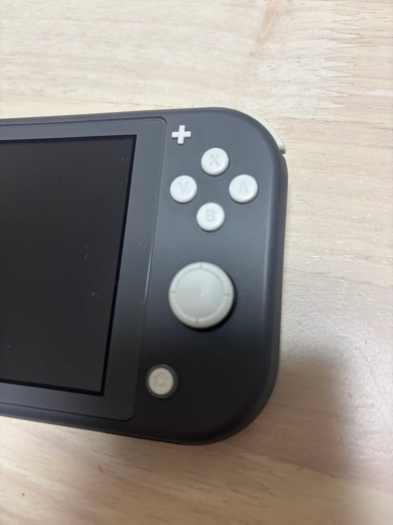 Switch Lite グレー ケース 充電器microSD 128GB付