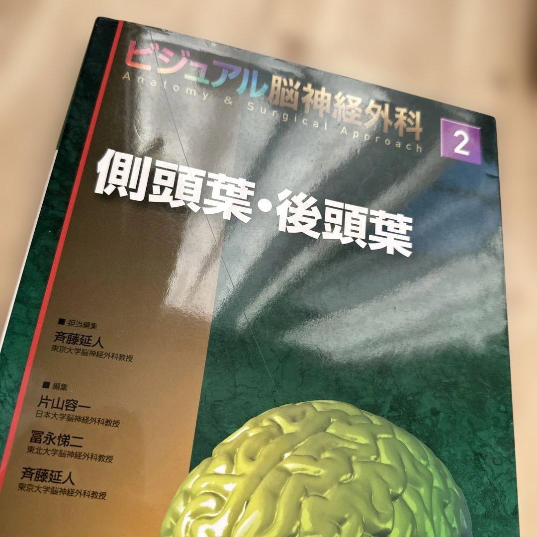 ビジュアル脳神経外科 2 側頭葉・後頭葉
