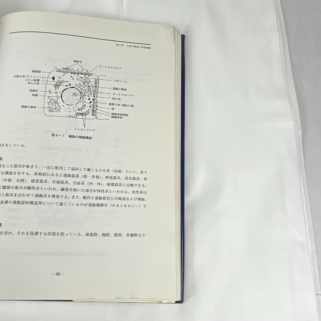 無痛バランス療法Ⅱ 解剖生理学的機能診断編