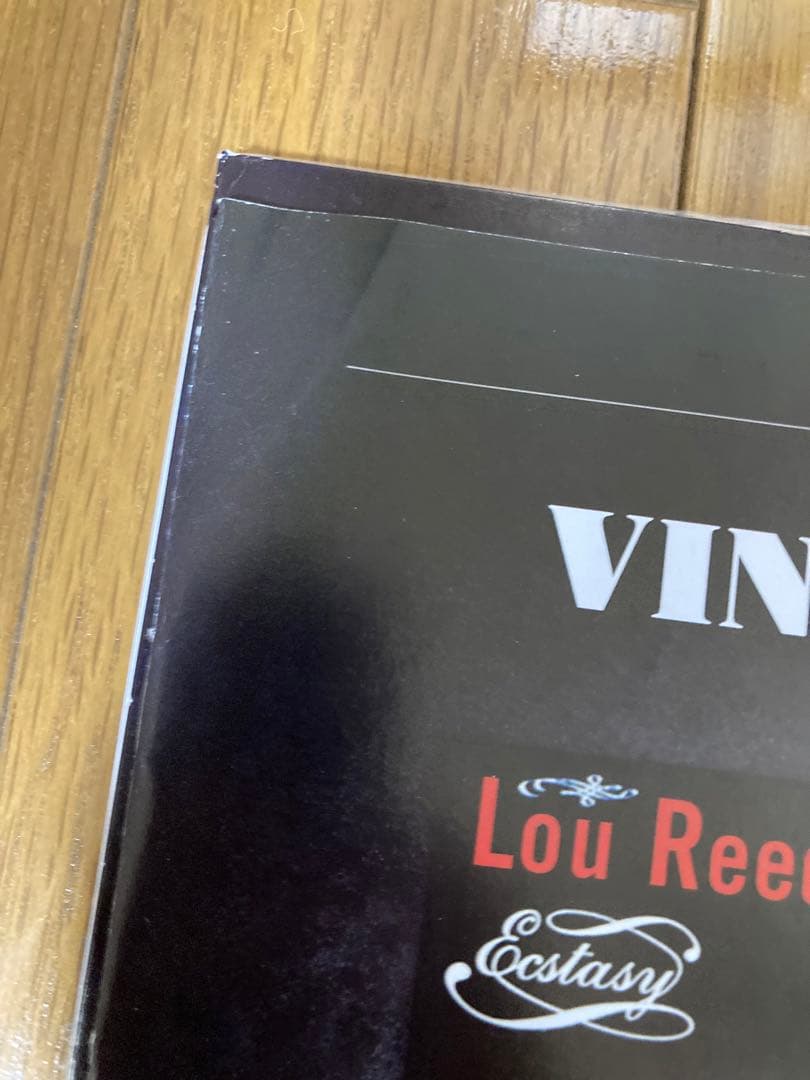 稀少アルゼンチン轟音ルーリード写真集付エクスタシーLou Reedレコード