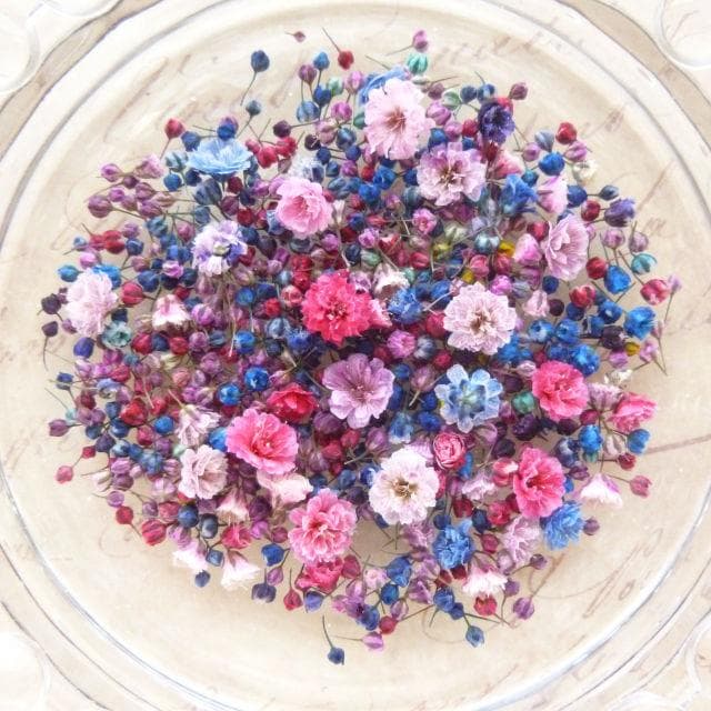 にゃーにゃ様◆【ドライフラワー】かすみ草の蕾 着色（847 レジン ）