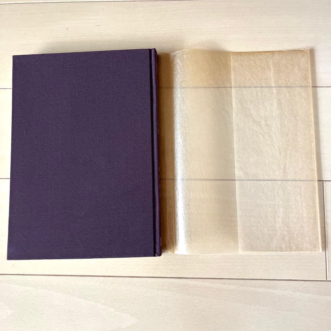 国語スキルのプログラム学習　輿水実