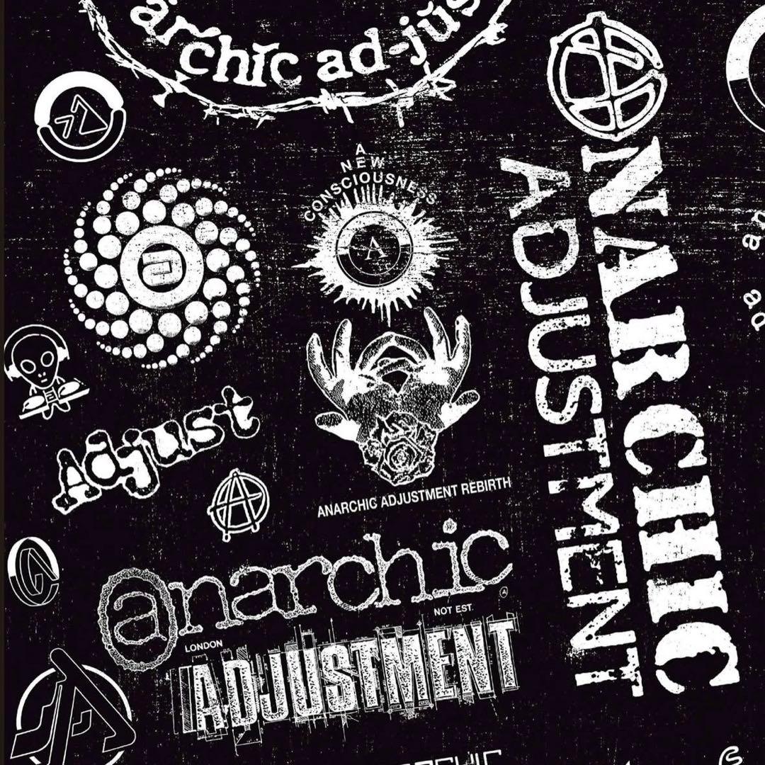 insane × ANARCHIC ADJUSTMENT アートブック新品