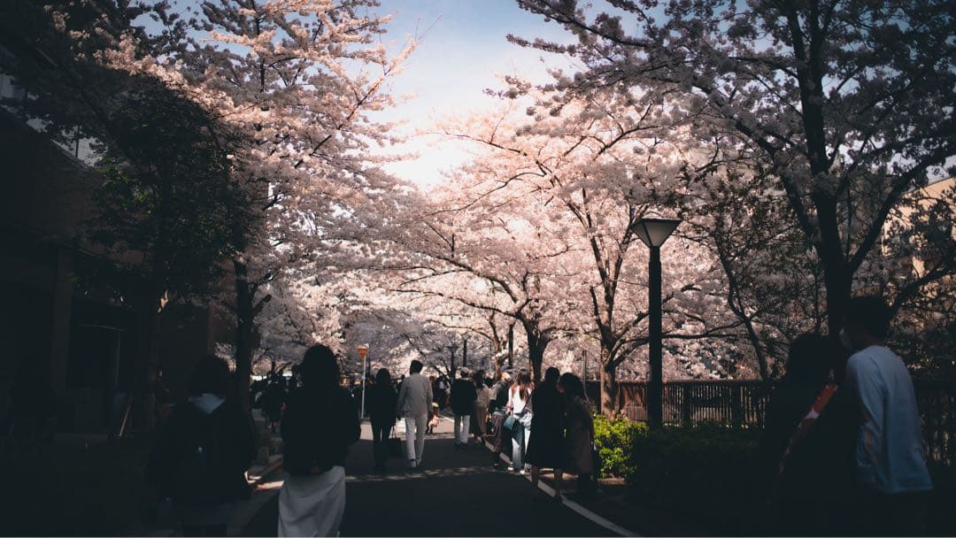 SIGMA 35mm F1.4 DG HSM Art SONY Aマウント