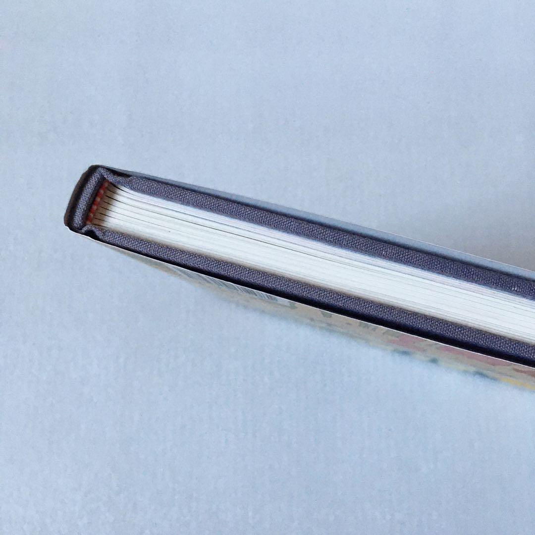 希少本 Henry Darger ヘンリー・ダーガー 画集 絵画 ART