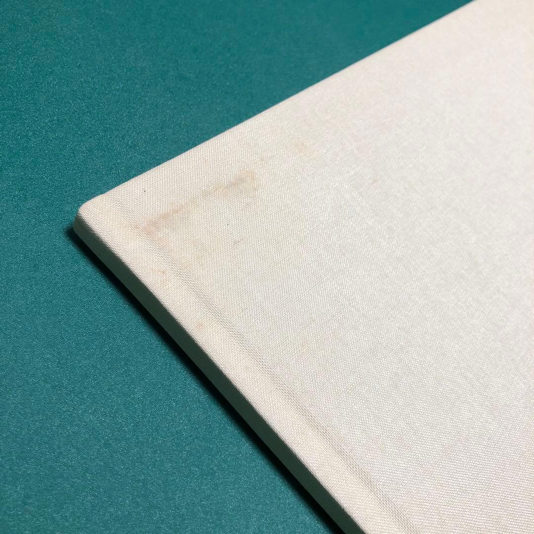 bird by RONI HORN ロニ・ホーン作品集