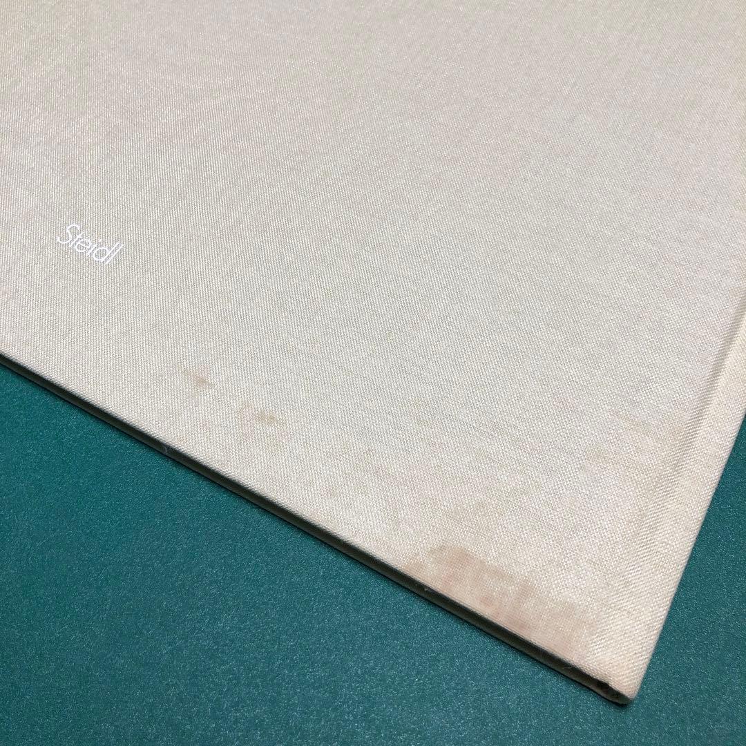 bird by RONI HORN ロニ・ホーン作品集