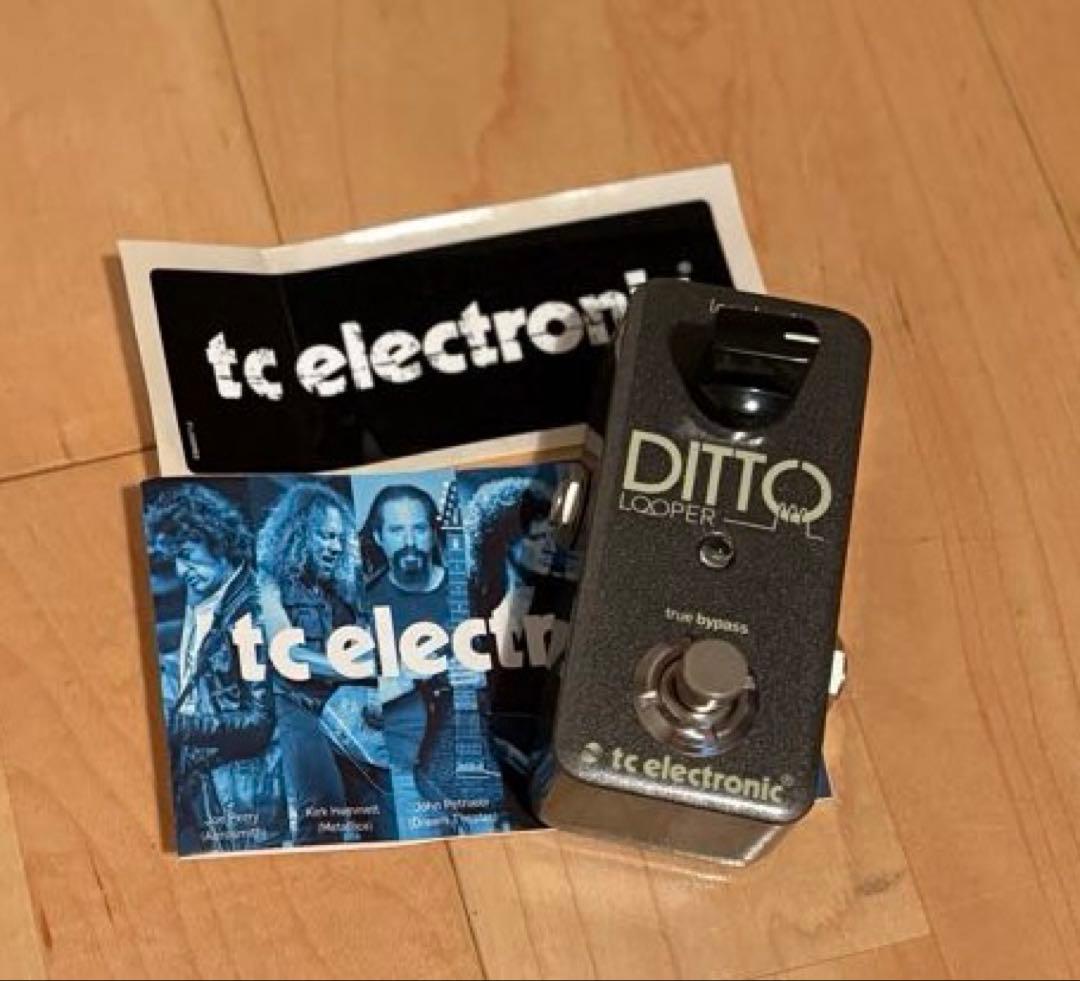 tc electronic DITTO LOOPER 美品