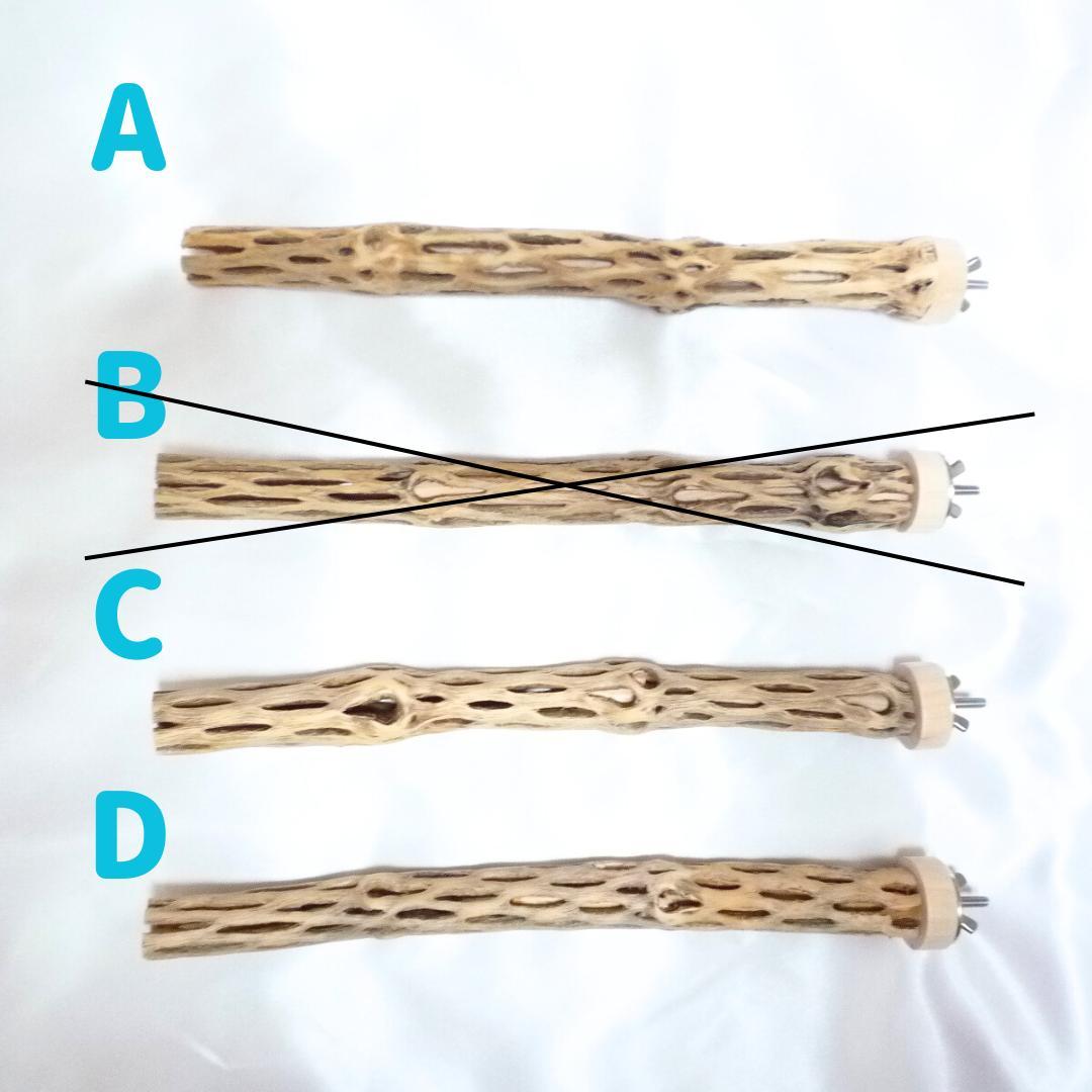 m　止まり木　カクタス　スケルトン　パーチおまとめ3本