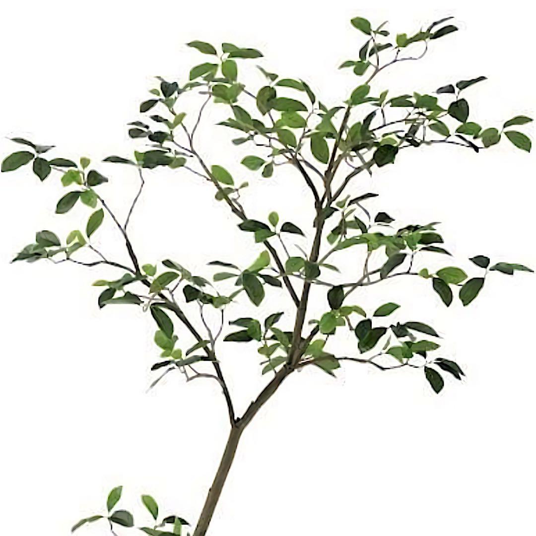 光触媒　人工観葉植物　ウォールグリーン　フェイクグリーン　ガジュマル150