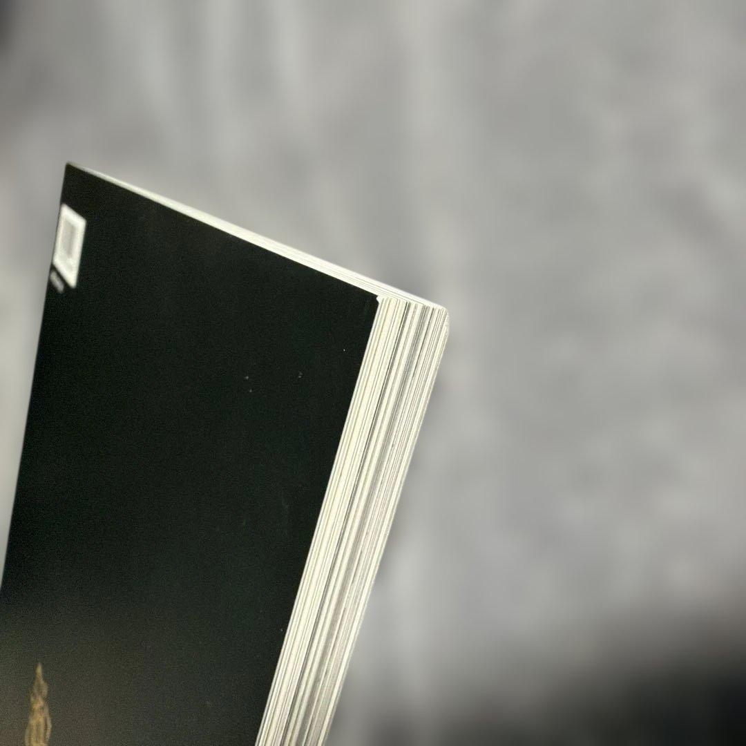 ヴァンパイア騎士原画展 公式ビジュアルブック イラスト集 樋野まつり