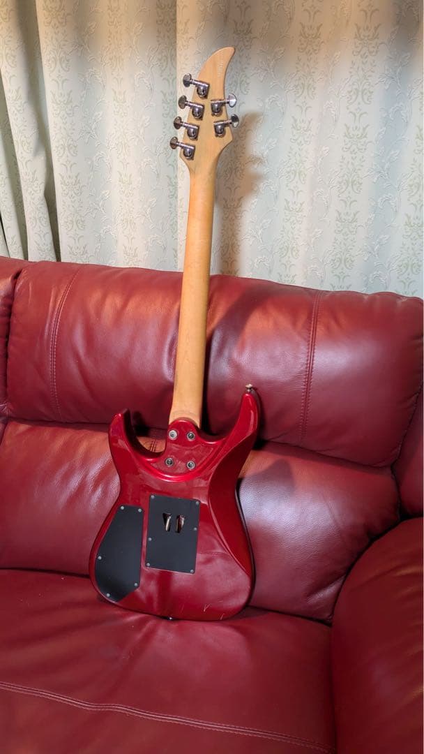 ギター Chatting Bird CAPARISON Guitars design