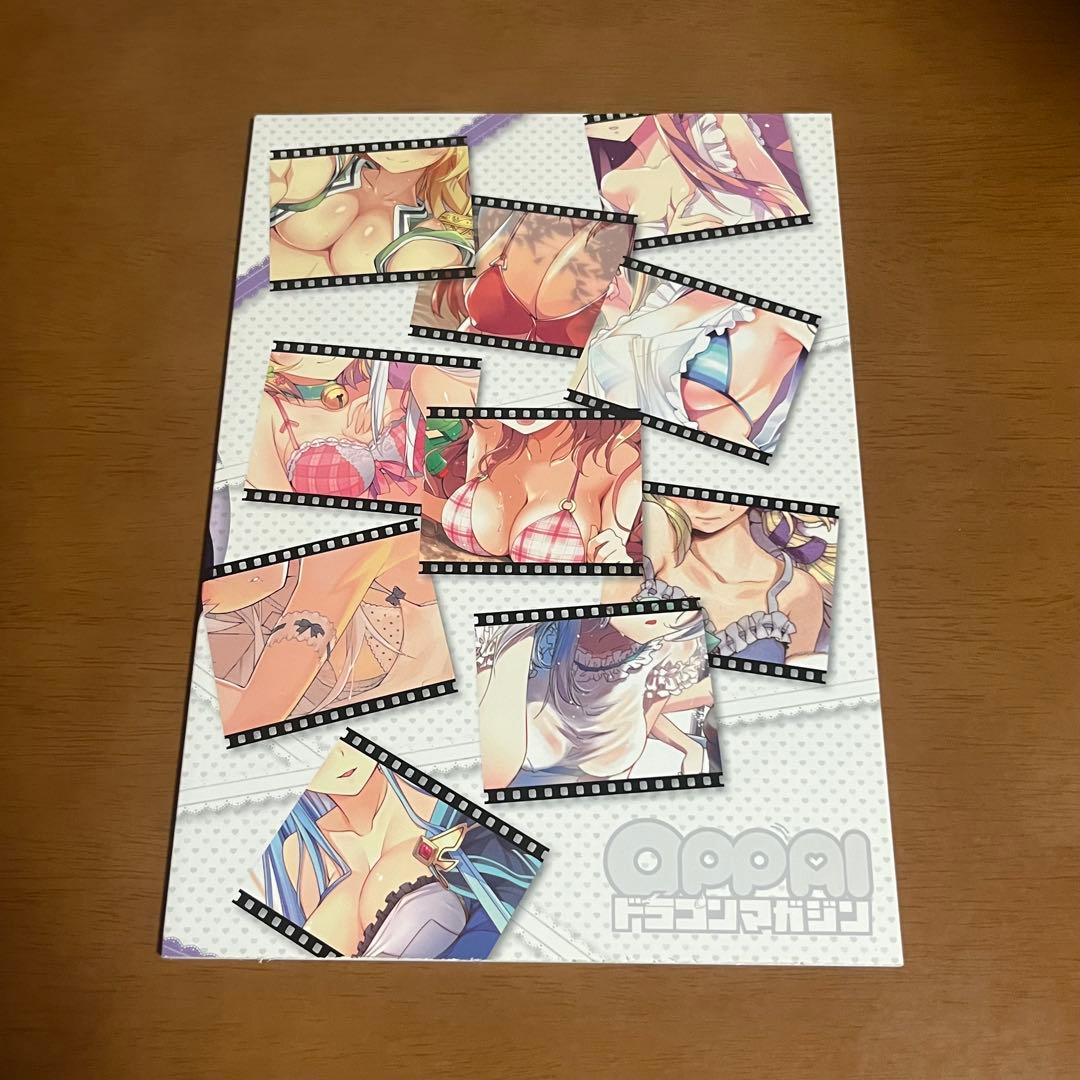【非売品】ドラゴンマガジン フルカラーイラスト集