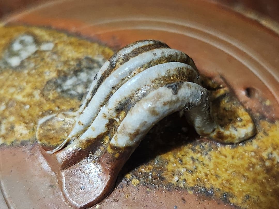 備前焼　宝瓶　茶器揃