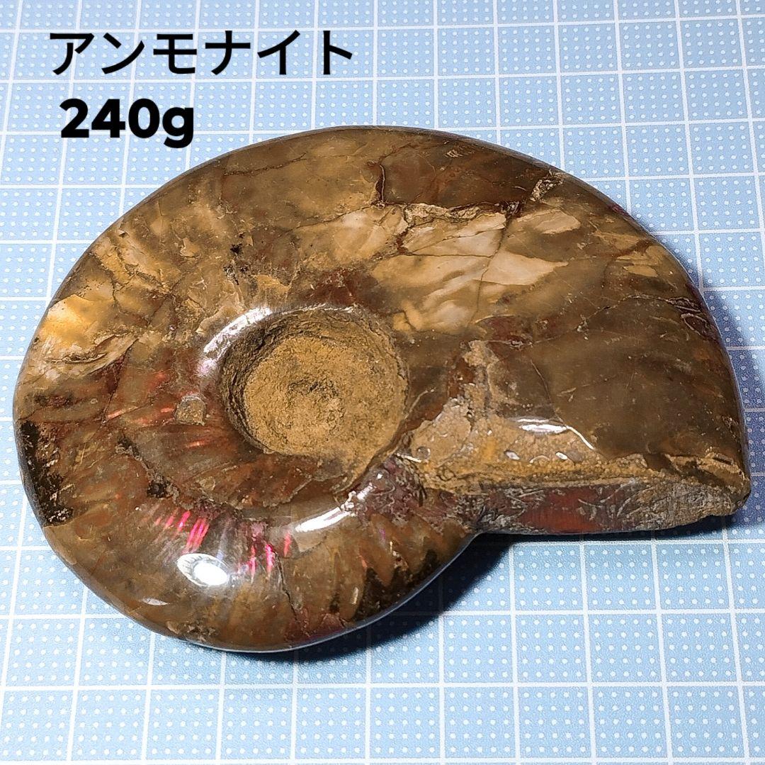 240g アンモナイト 化石 アンモライト オパール化 本物 原石 鉱物標本