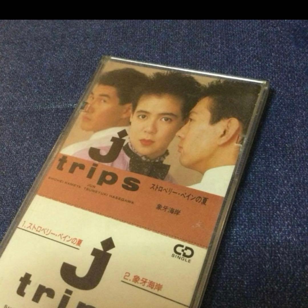 J・トリップス　ストロベリーペインの夏　8センチ8cmシングル　J trips