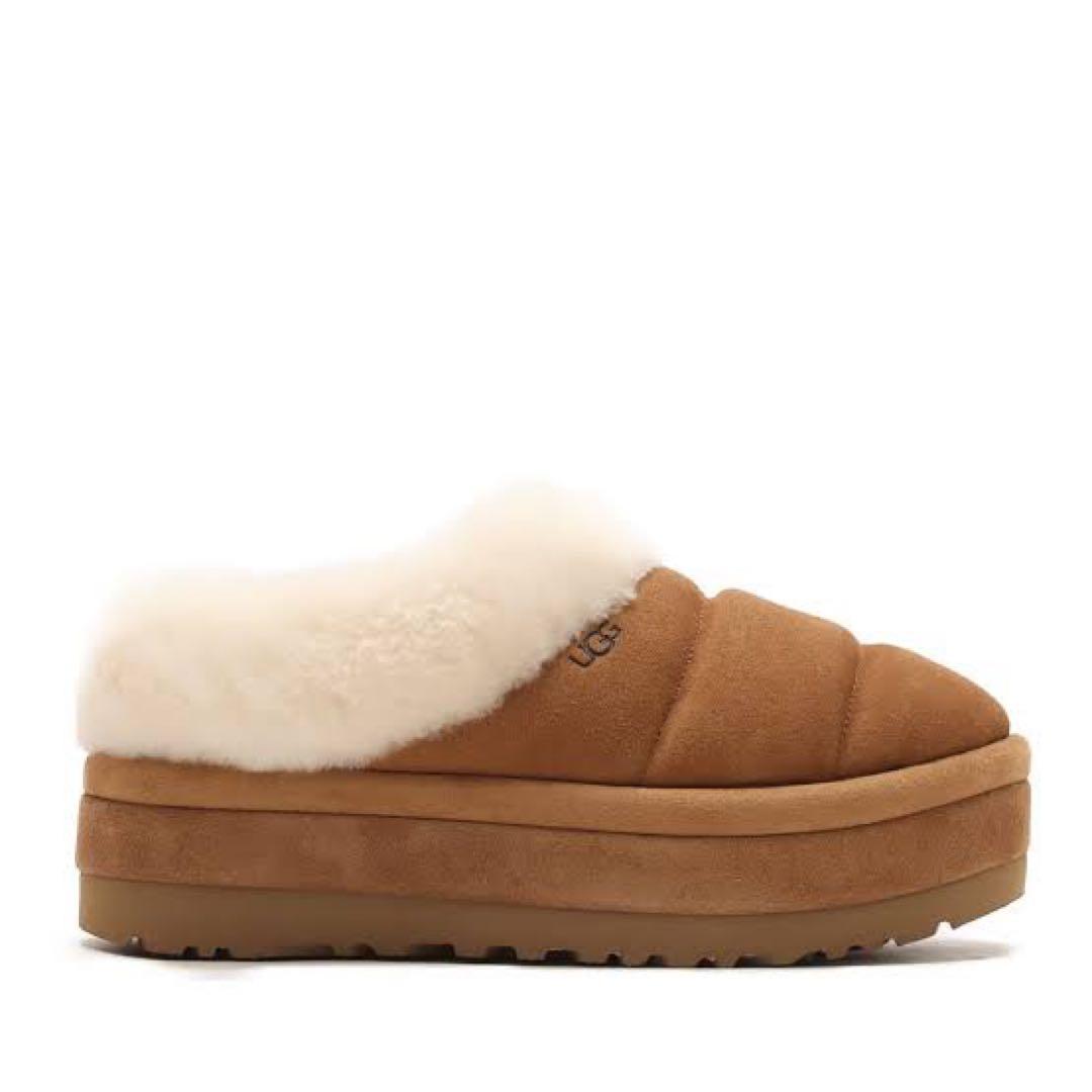 UGG タズリータ チェスナット 24cm US7 Tazzlita