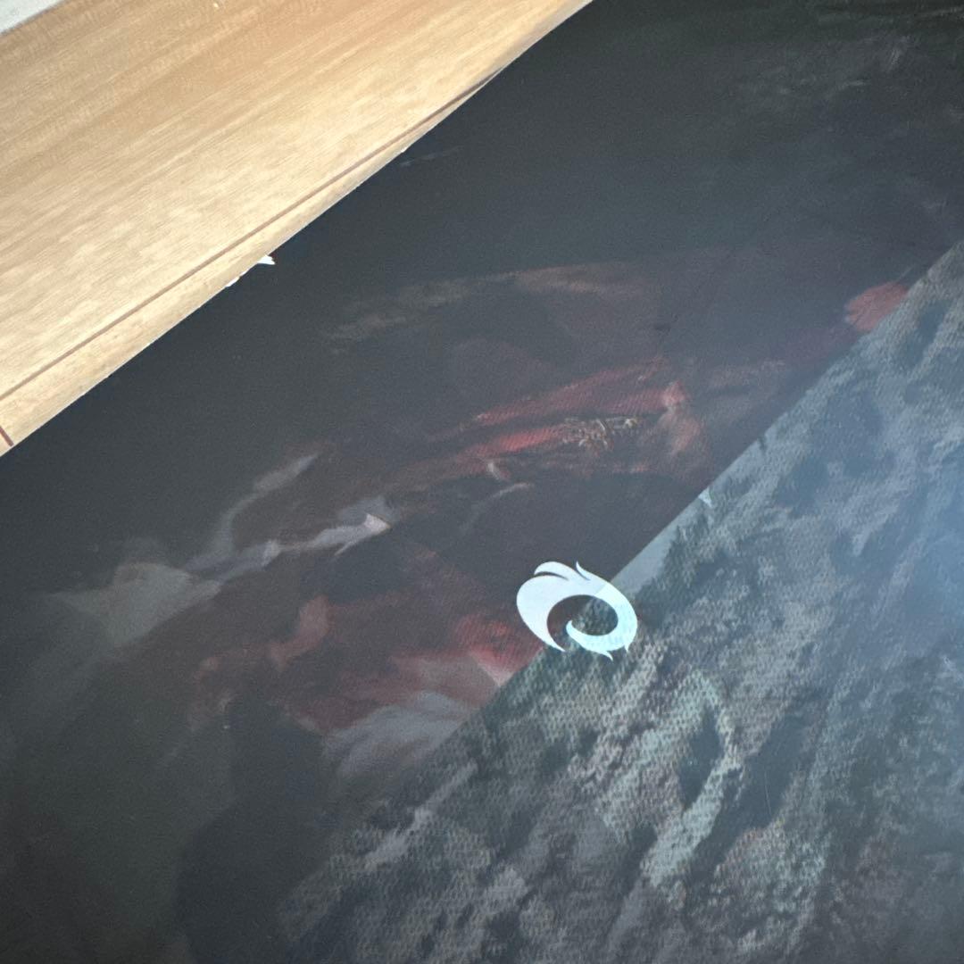 【ソールカバー付❗️】オガサカ　CT 156 cm OGASAKA