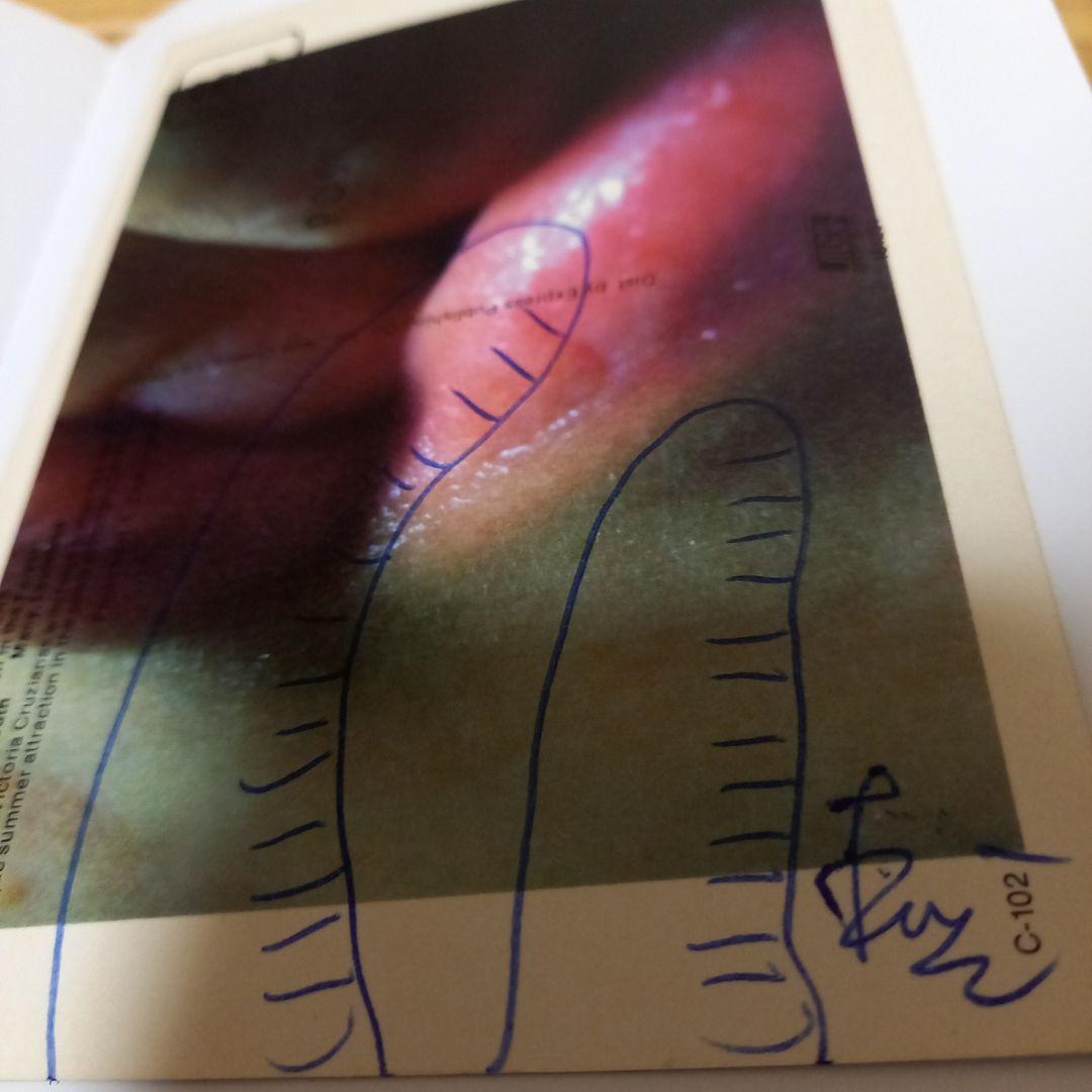 安楽寺えみ写真集　洋書　e hagaki　限定500部　直筆サイン.イラスト入り