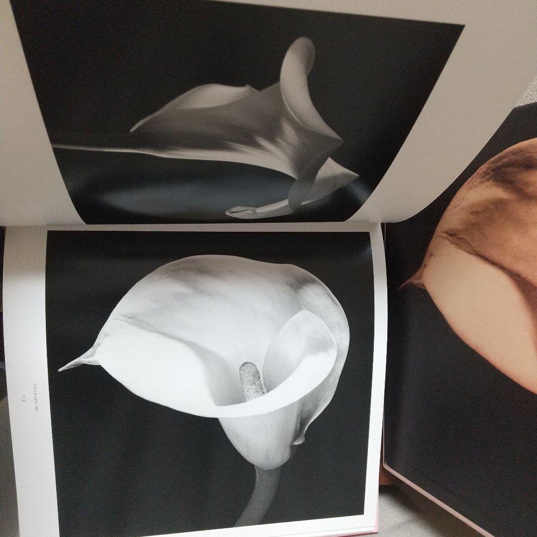 Robert Mapplethorpe Pistils写真集花特集