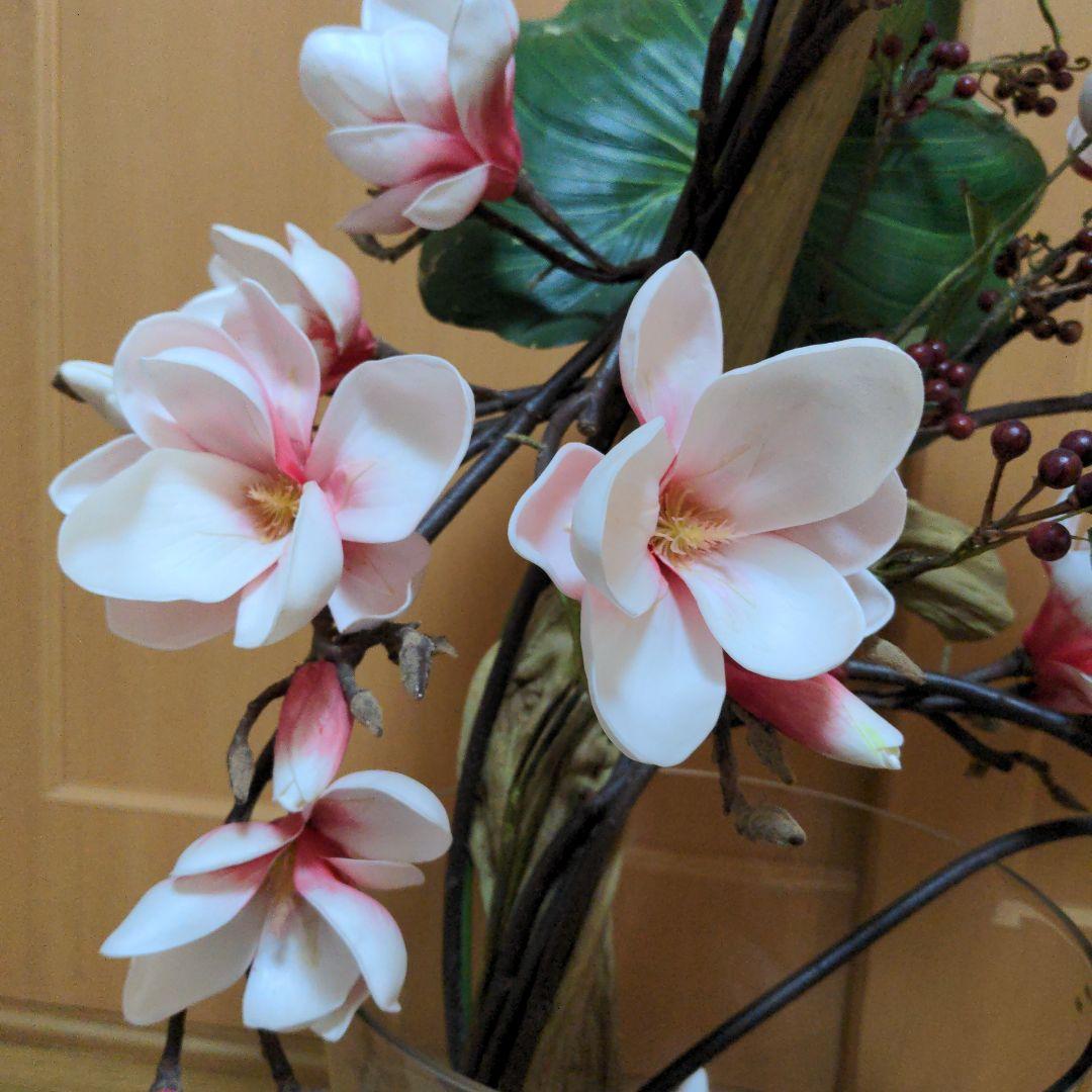 エミリオ・ロバ　モクレン　マグノリア