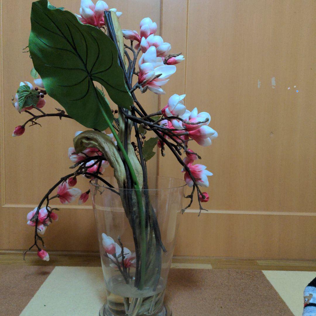 エミリオ・ロバ　モクレン　マグノリア