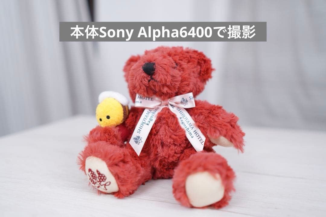 動作確認済 SIGMA 16mm F1.4 DC DN カメラレンズEマウント