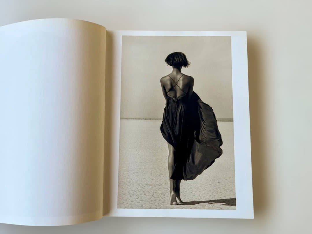 アート・デザイン・音楽 HERB RITTS L.A. STYLE