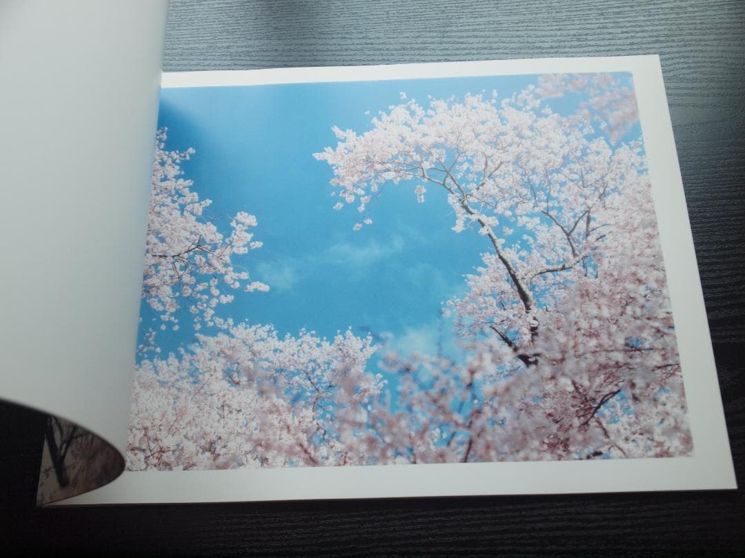 鈴木理策　桜　Yoshii Gallery　大判　サイン入り