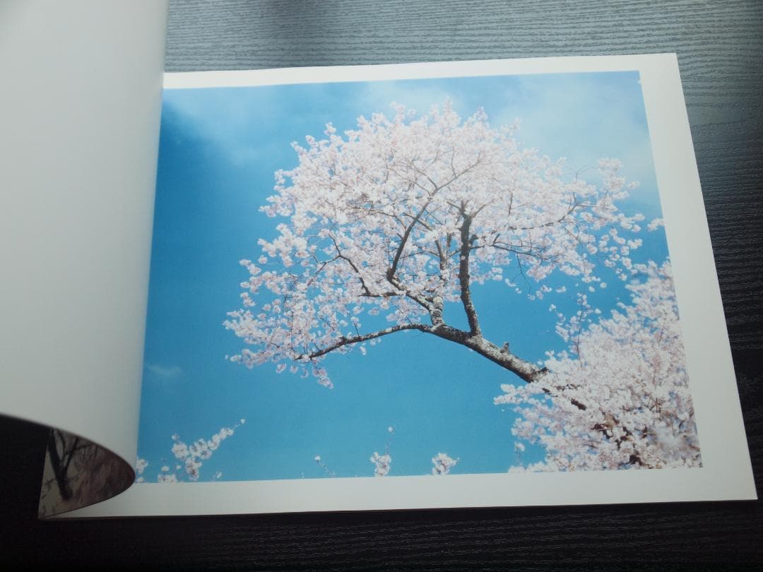 鈴木理策　桜　Yoshii Gallery　大判　サイン入り