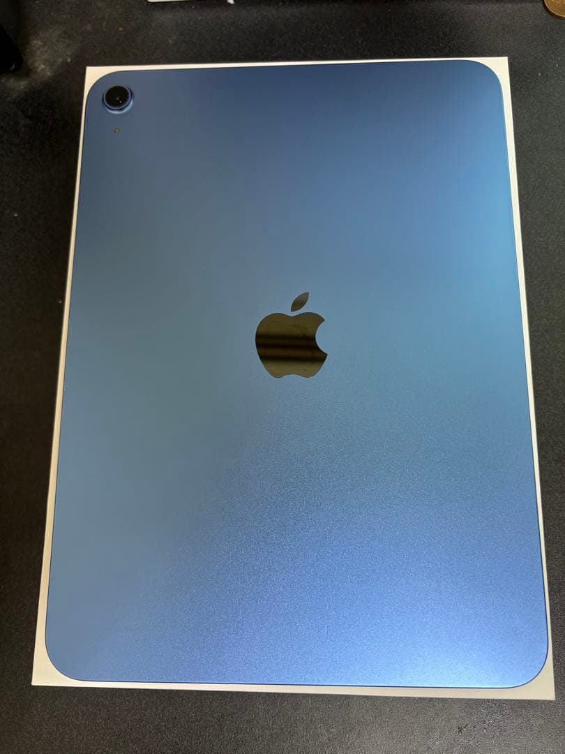 Apple iPad A１６Wi-Fiモデル