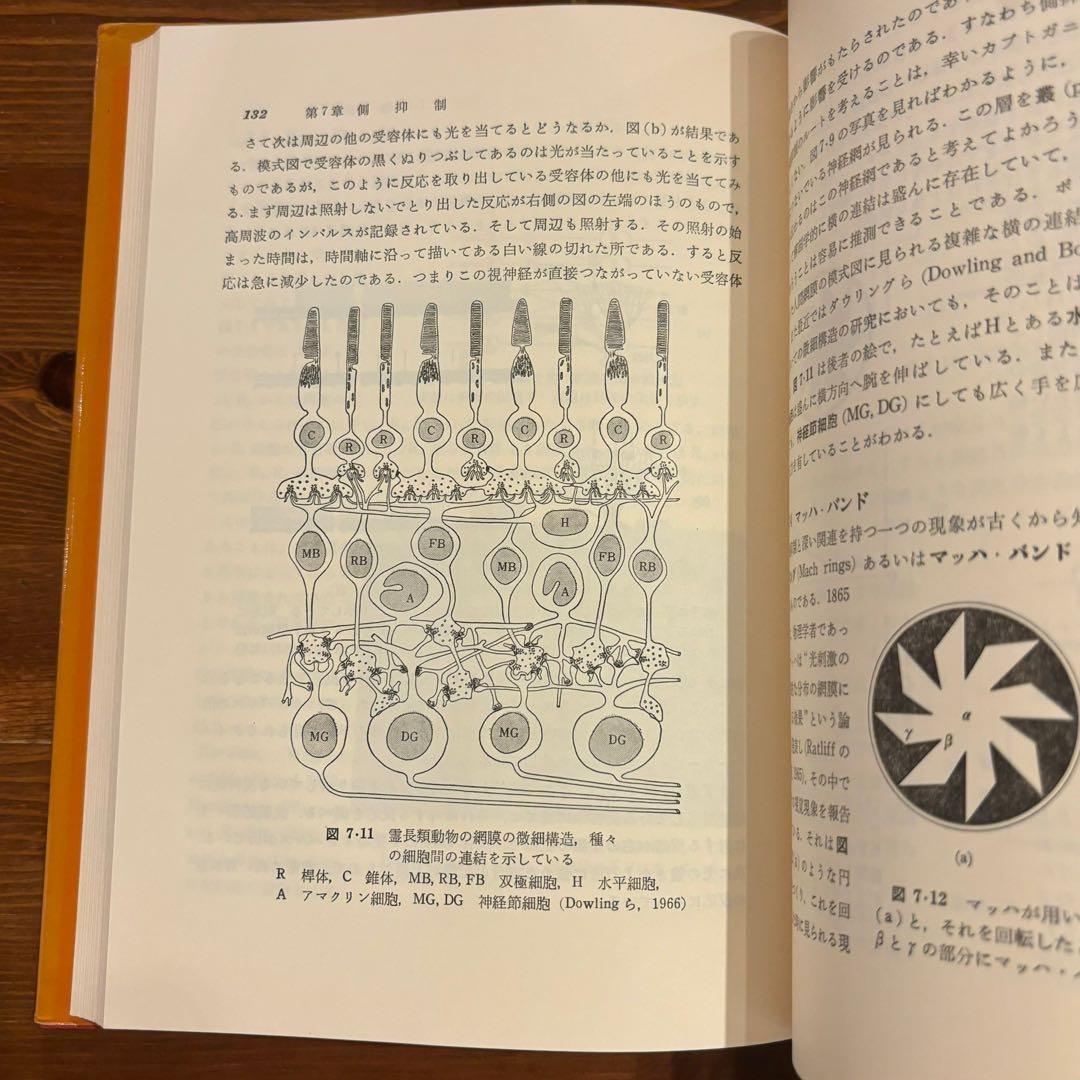 視覚の心理物理学 池田光男著