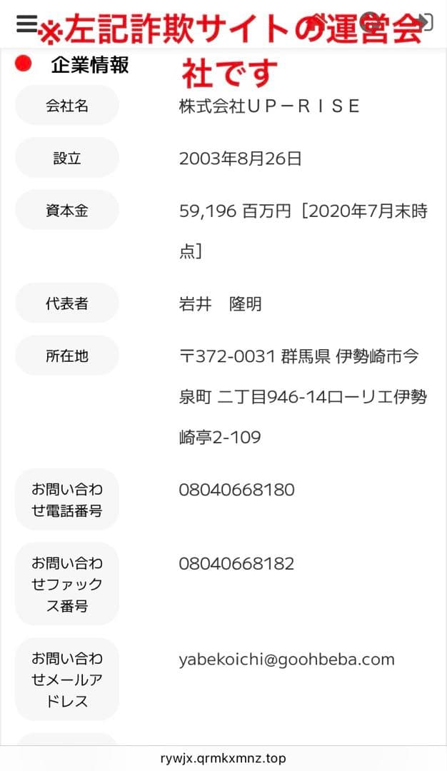 帯山与兵衛 色絵草花文 花瓶 帯山 明治 百年前 新品 国内流通品 京薩摩 壺