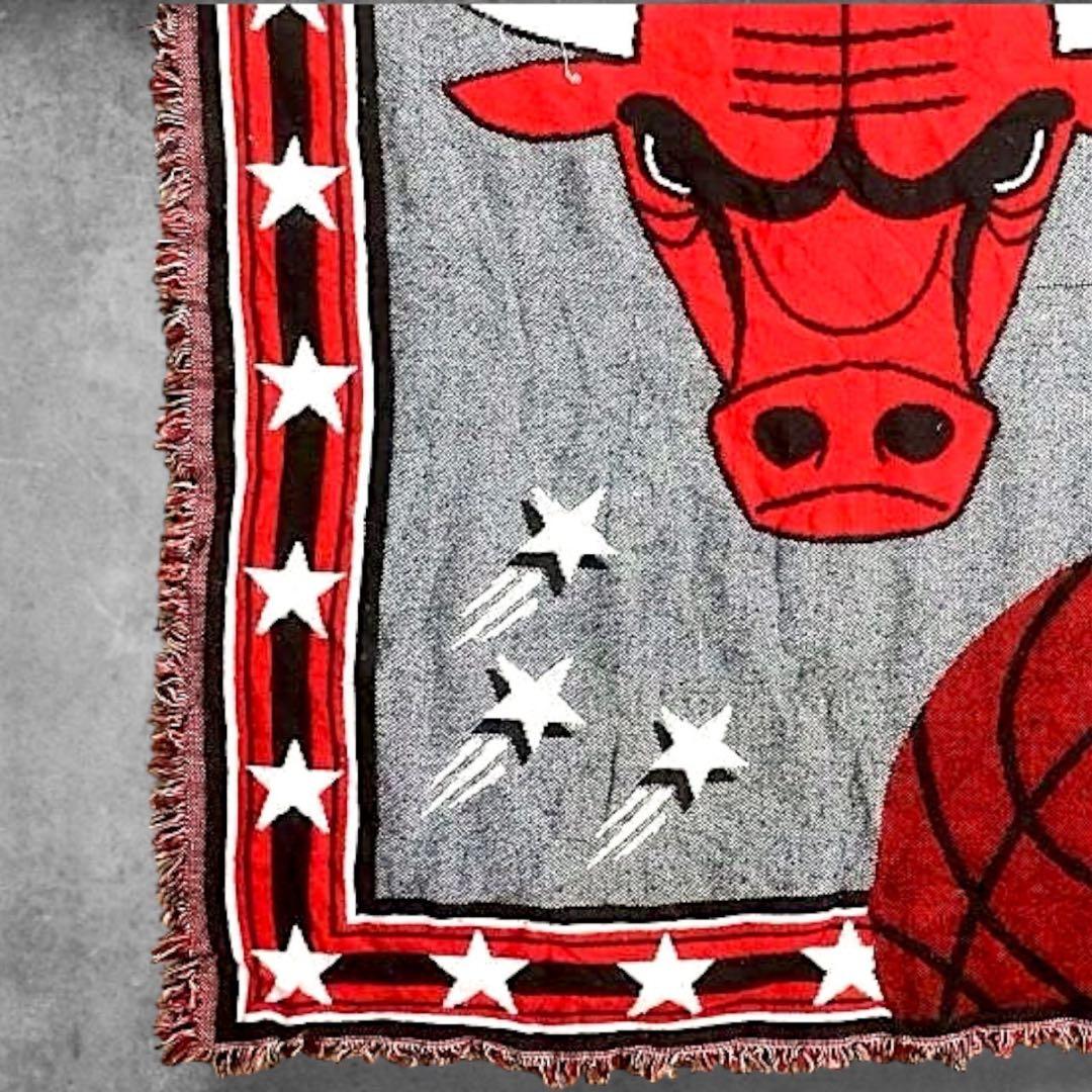 BPPZ チーム ラグ タペストリー USA製 NBA シカゴ ブルズ バスケ