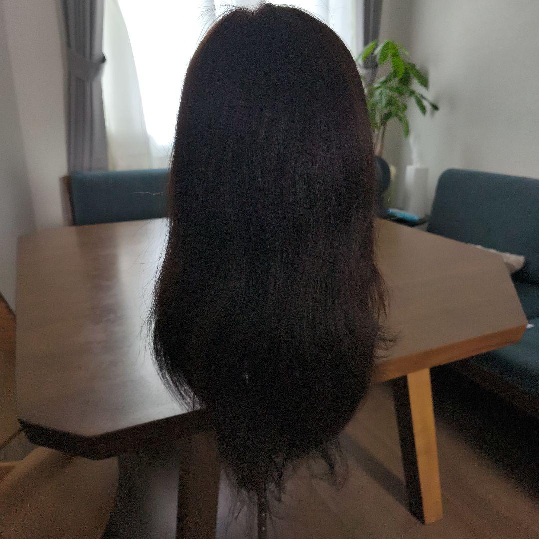 【早いもの勝ち】ウィッグ レジーナ アップ用 088 SDL ロング