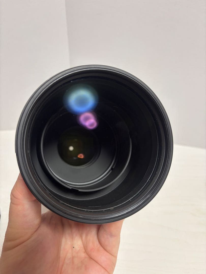 TAMRON SP 150-600 SONY Eマウントアダプター付き