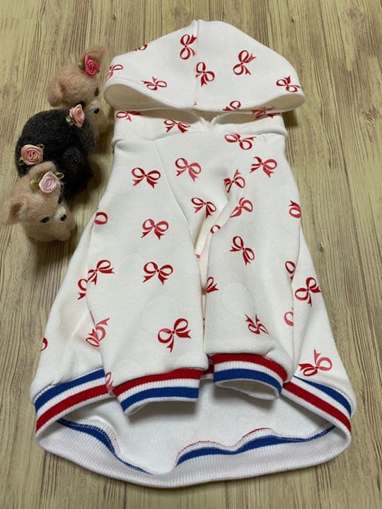 犬服  ラグランフード付き(M)   ꒡̈⃝Lily꒡̈⃝ハンドメイド  再出品