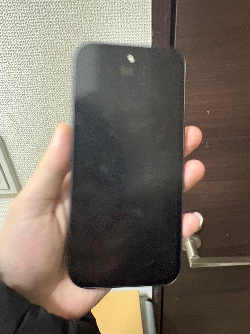 Google Pixel 9a パネルのみ