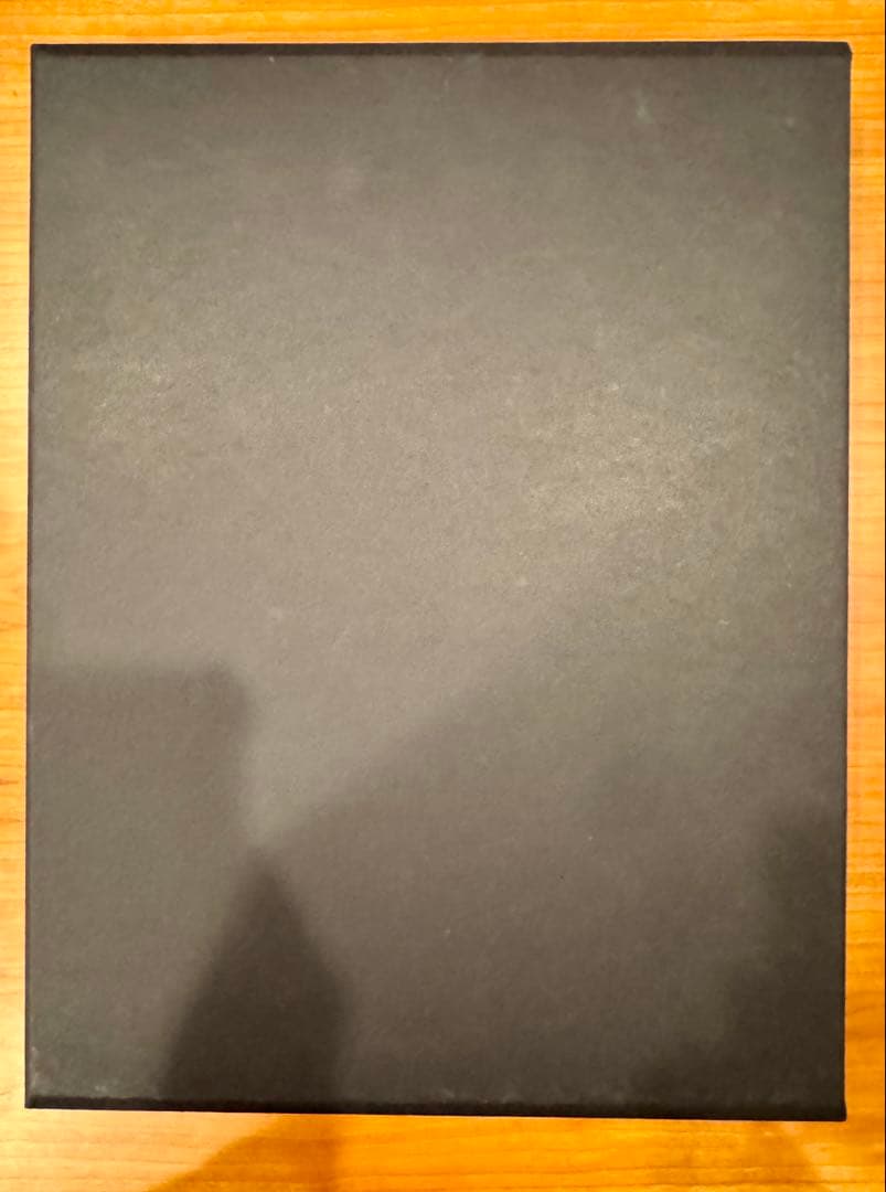 THE LITTLE BLACK JACKET カール・ラガーフェルド 写真集