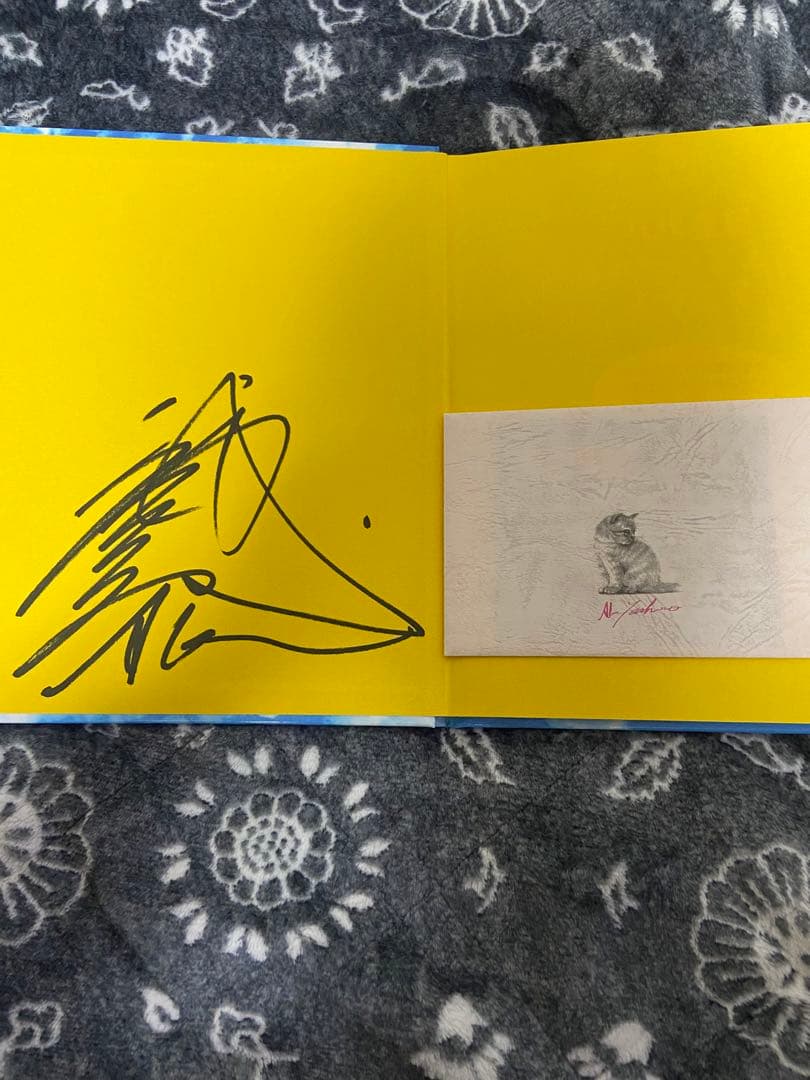 八代亜紀　ミュージアム　本　絵画　ミリオンアート　猫　動物　絵本　直筆サイン入り