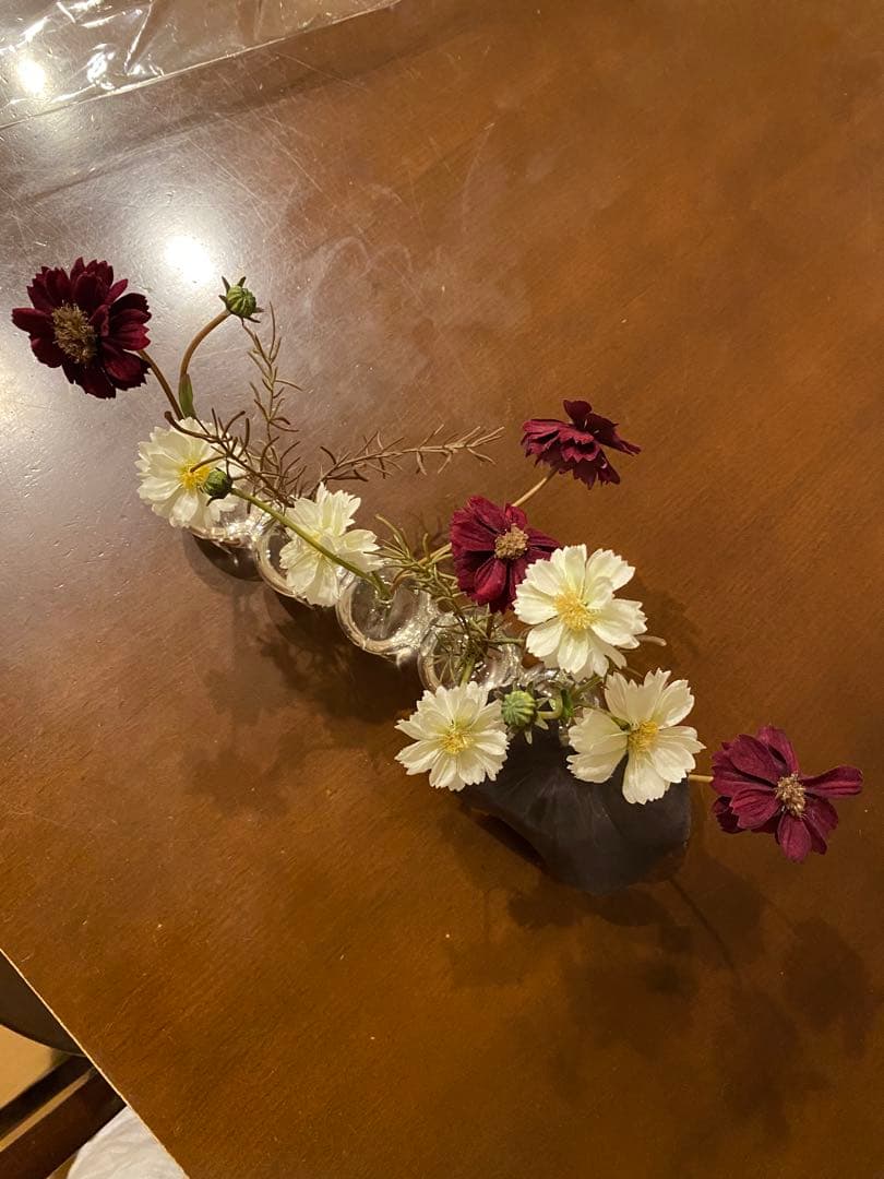 エミリオ・ロパ EMILIO ROBBA コスモスのフラワーアレンジメント