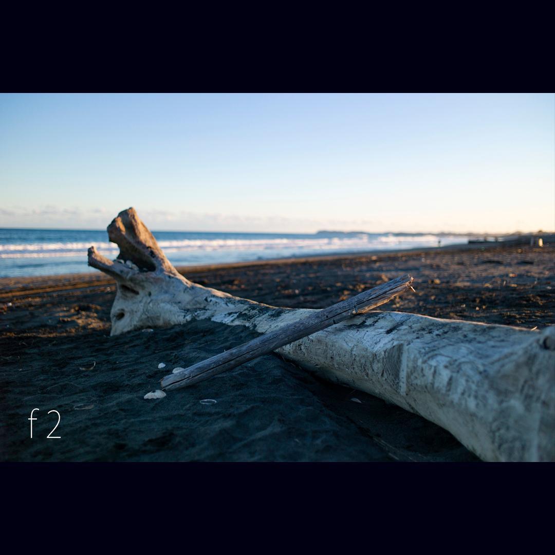 1/5まで値下げ。SUMMICRON-M 35mm f2 ASPH ズミクロン