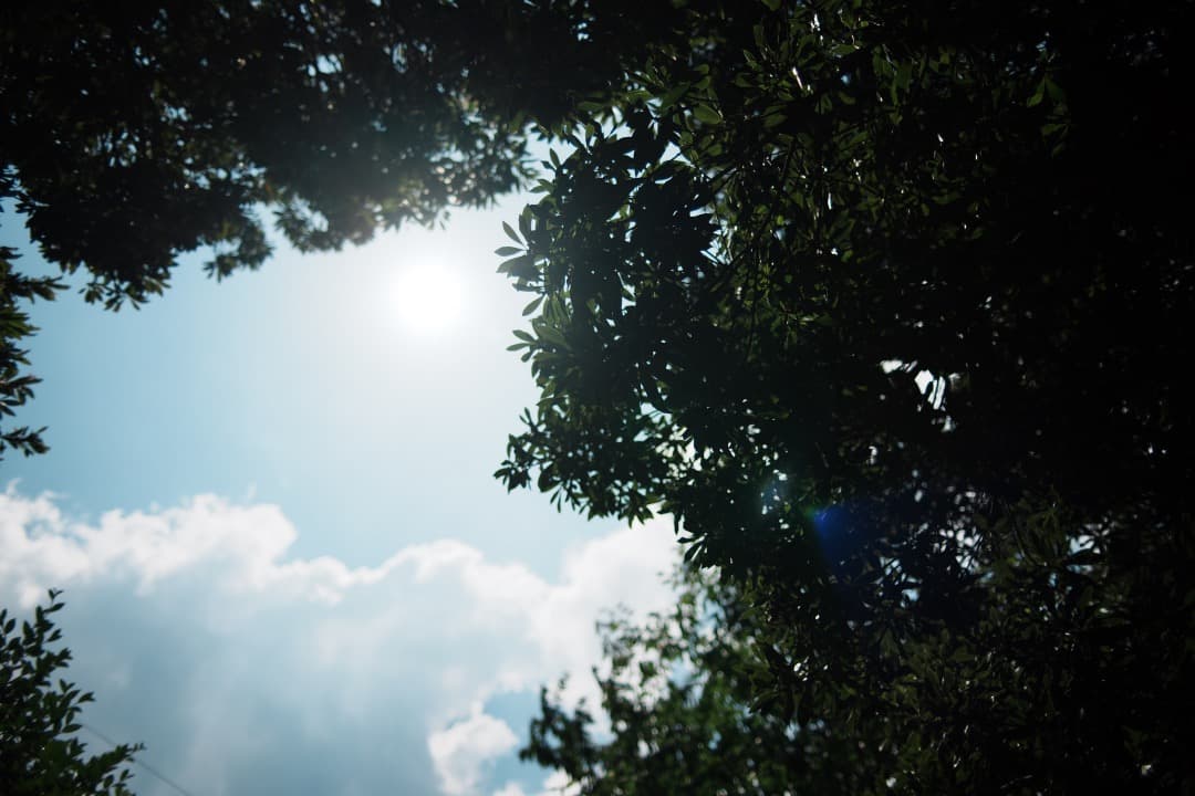 【寄れる】Nikon Ai-s Nikkor 28mm F2 ニコン 388