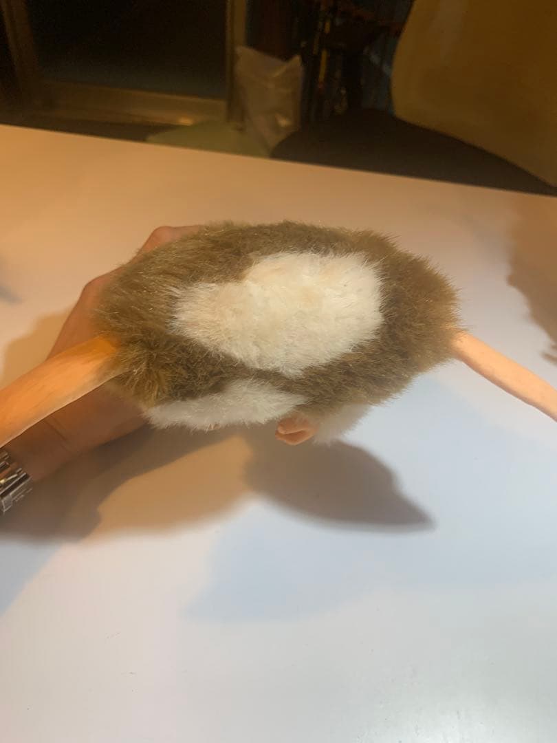 グレムリン ギズモ モホーク ジュンプランニング