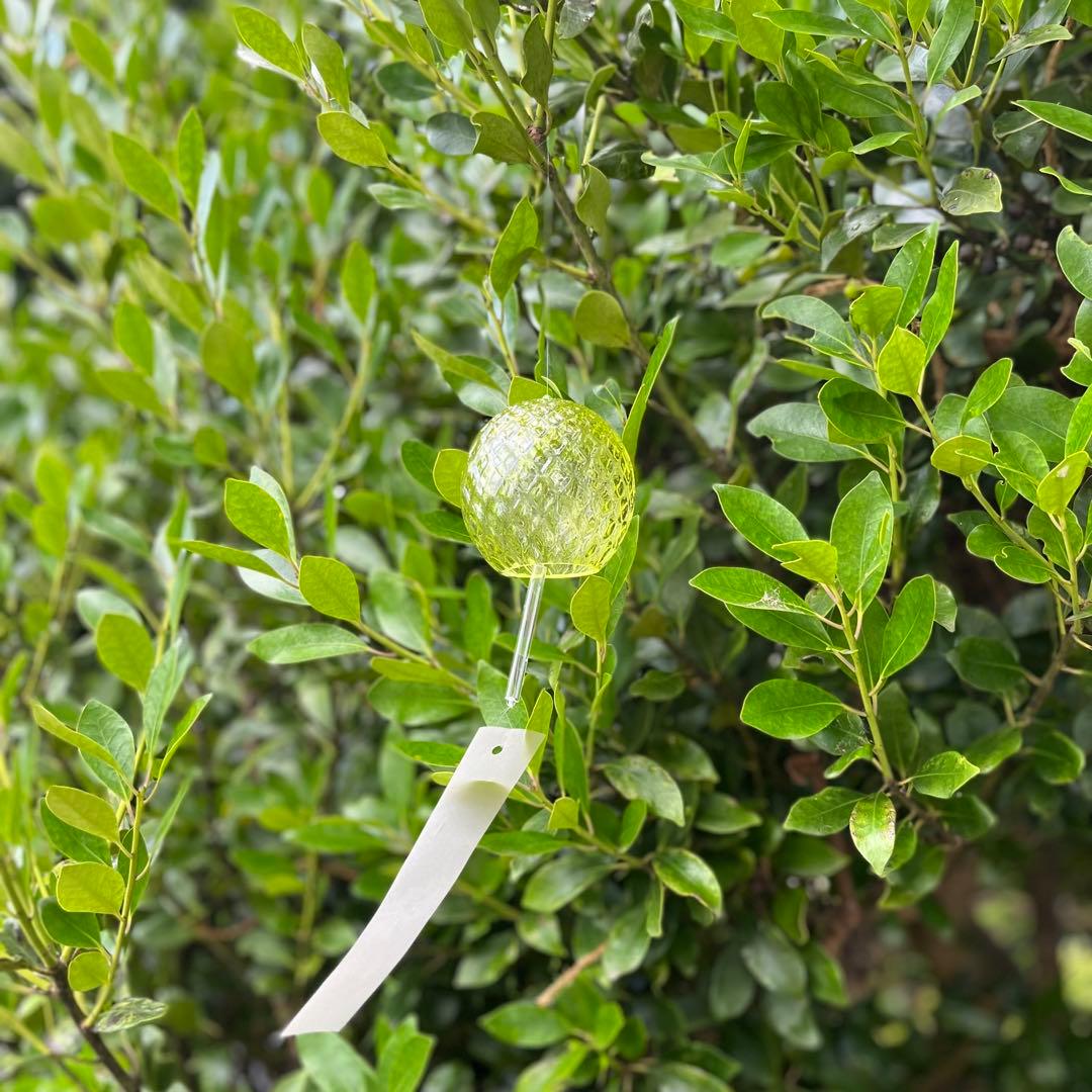 富山ガラス風鈴魚子模様硝子アーティスト作家ハンドブロウ別注オリジナル限定新品