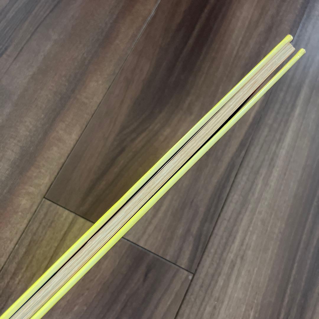 初版　いちごの王さまのメッセージ　生きていることのすばらしさ　辻信太郎　鈴木賢治