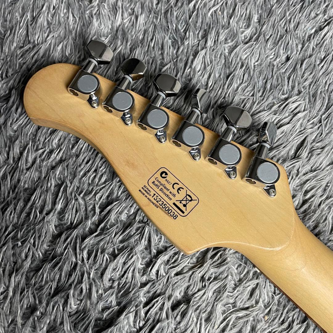 ギター Elioth S305