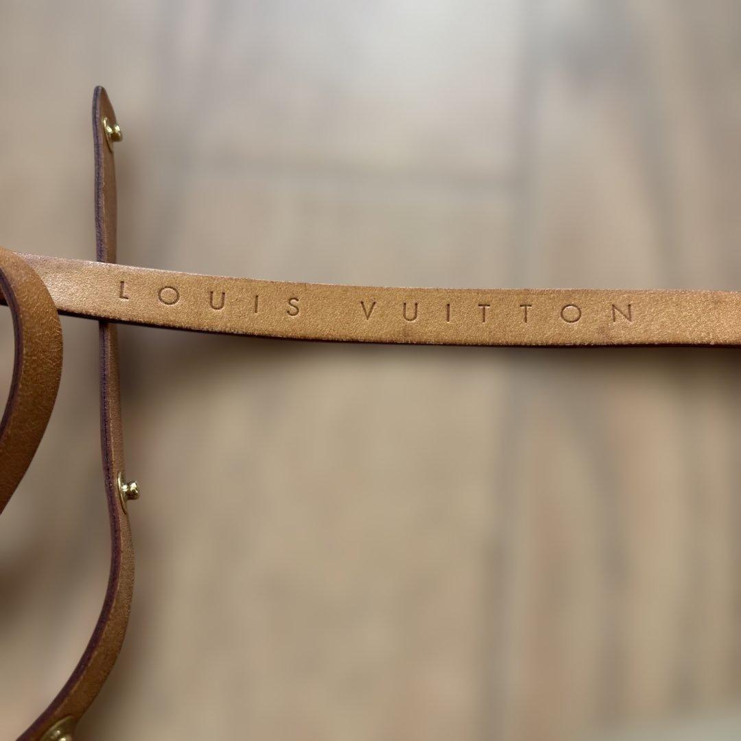 Louis Vuitton モノグラム フロランティーヌcds